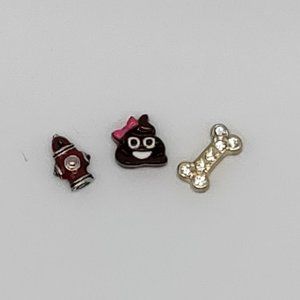 Origami Owl Poo Charm Set